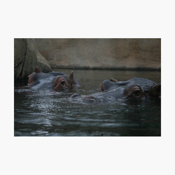 Item preview, bath time designed and sold by Tigris.