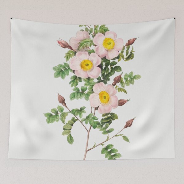 Item preview, Les Roses by Pierre-Joseph Redouté designed and sold by EsotericBotanic.