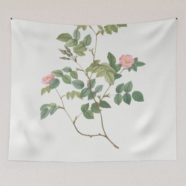 Item preview, Les Roses by Pierre-Joseph Redouté designed and sold by EsotericBotanic.