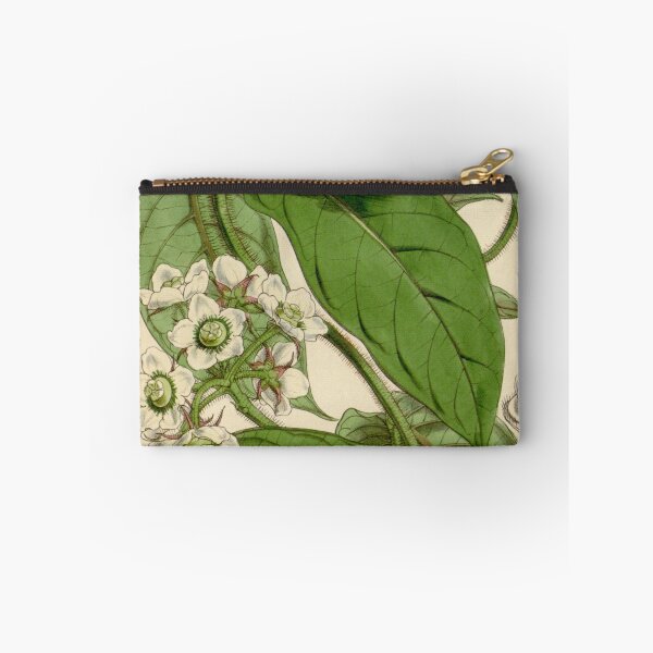 Item preview, Curtis's botanical magazine (Tab. 4472) (8411709012) designed and sold by EsotericBotanic.