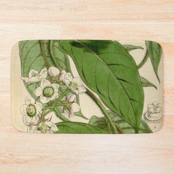 Item preview, Curtis's botanical magazine (Tab. 4472) (8411709012) designed and sold by EsotericBotanic.