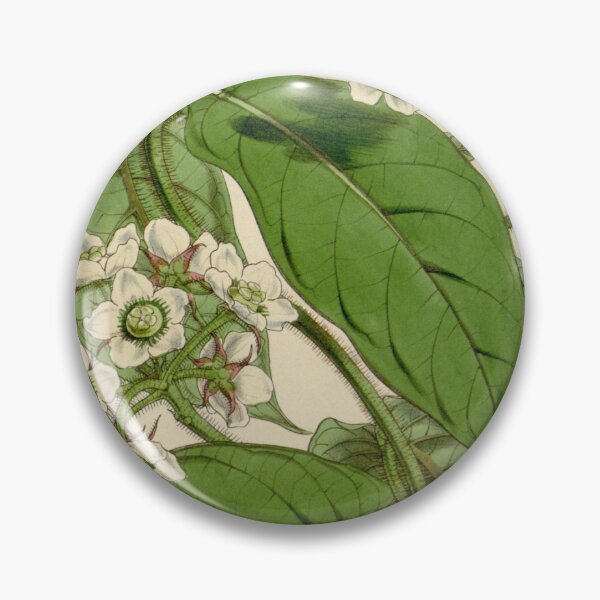 Item preview, Curtis's botanical magazine (Tab. 4472) (8411709012) designed and sold by EsotericBotanic.