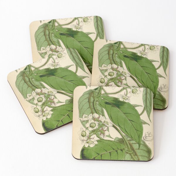 Item preview, Curtis's botanical magazine (Tab. 4472) (8411709012) designed and sold by EsotericBotanic.