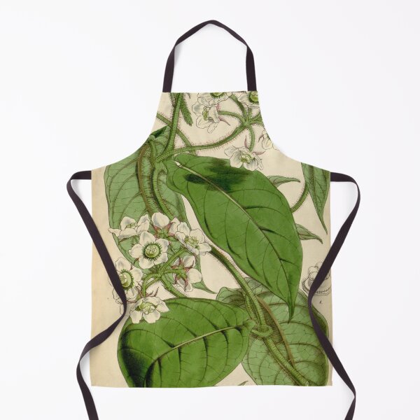 Item preview, Curtis's botanical magazine (Tab. 4472) (8411709012) designed and sold by EsotericBotanic.