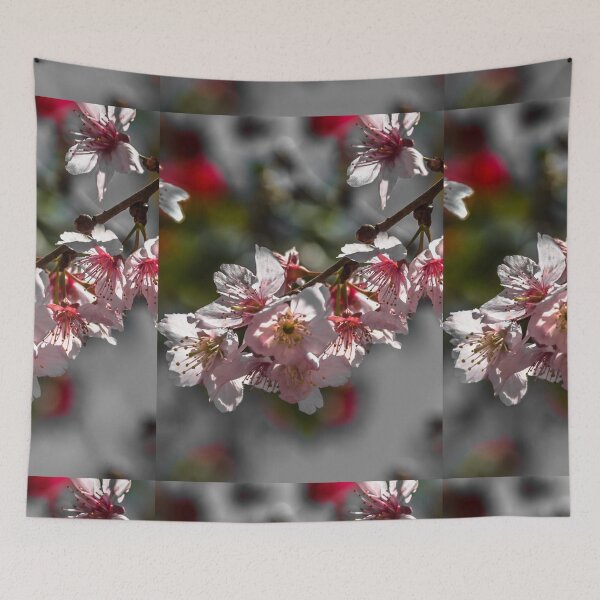 Item preview, Cherry Blossom. designed and sold by Nino rocha fotografia.