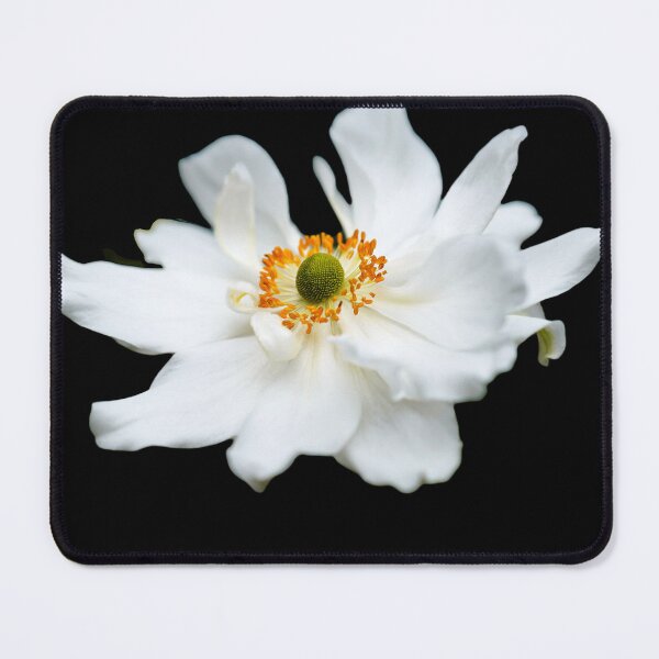Item preview, Anemonoides Nemorosa designed and sold by DiensDesign.
