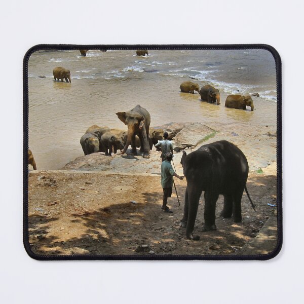 Item preview, SRI LANKAN ELEPHANTS.2 designed and sold by ronsaunders47.