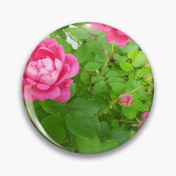 Item preview, pink roses designed and sold by CottageartbyDD.