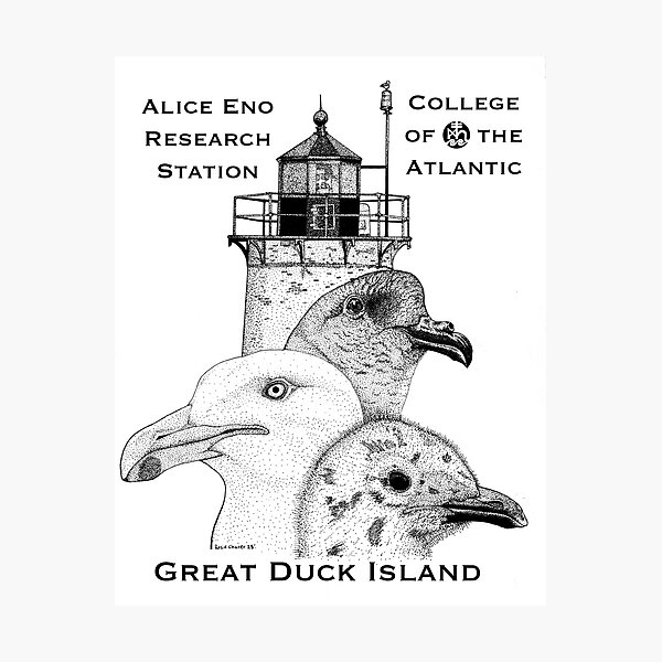 Item preview, Great Duck Island designed and sold by rosie chater.