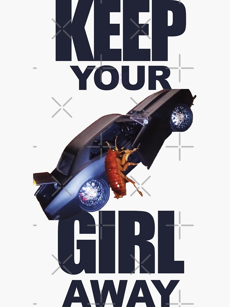 "Cockroach getting into car meme" Sticker by trendymememerch | Redbubble