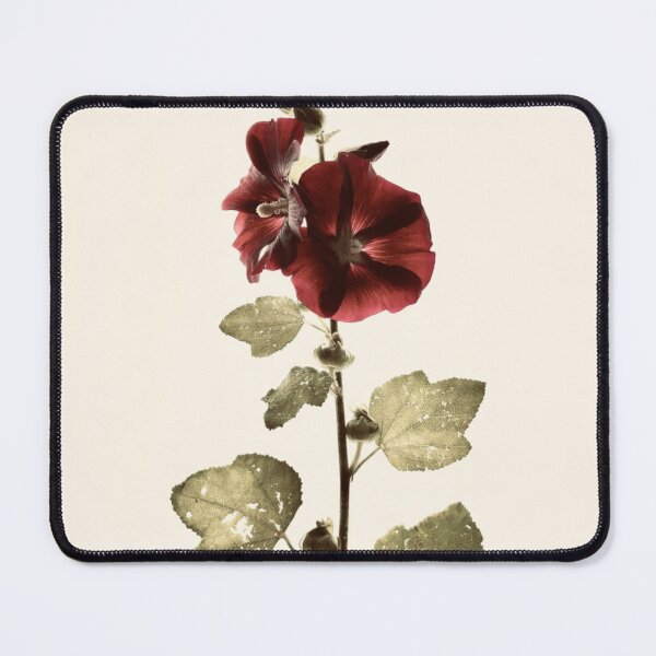 Item preview, Alcea designed and sold by MazGhani.