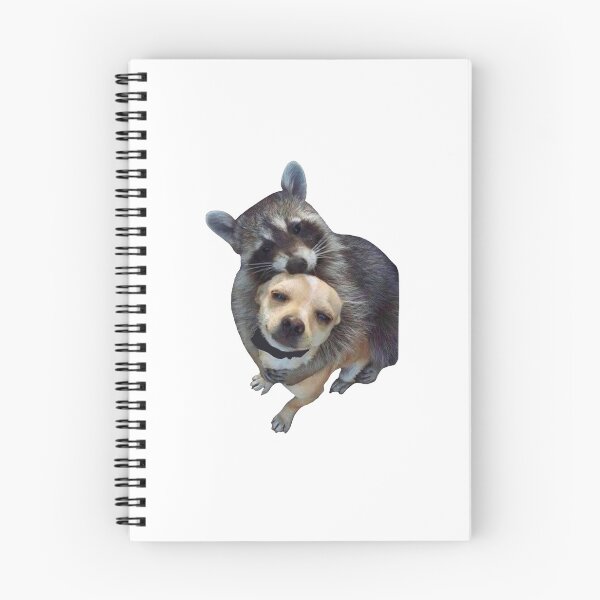 Item preview, raccoon hug designed and sold by ohsnapitzrylee.