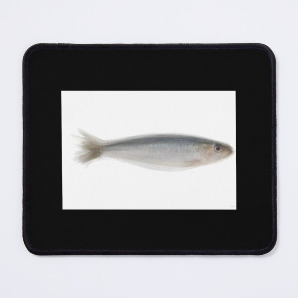 Item preview, Sardine Overlay Classic T-Shirt designed and sold by alishaston.