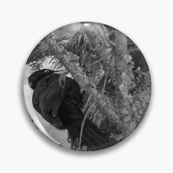 Item preview, Forester at work 4.  Black woodpecker bw designed and sold by Jouko Lehto Photography.