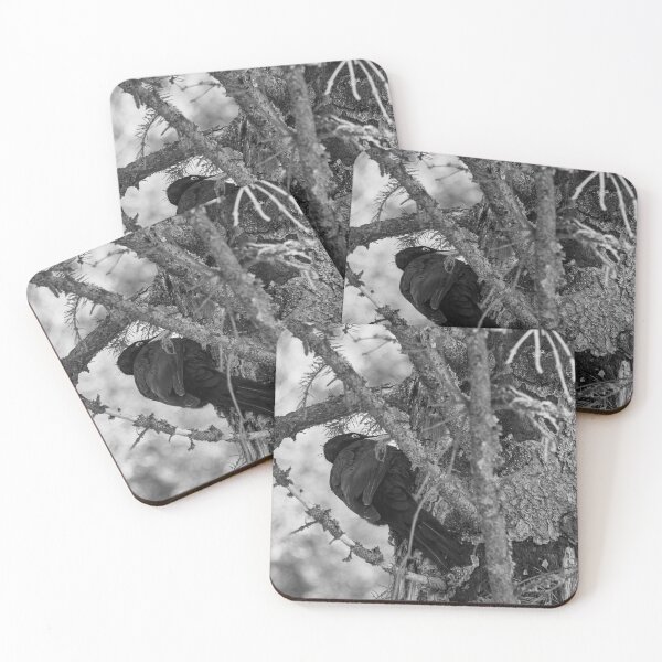 Item preview, Forester at work 4.  Black woodpecker bw designed and sold by Jouko Lehto Photography.