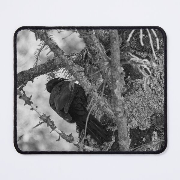 Item preview, Forester at work 4. Black woodpecker bw designed and sold by Jouko Lehto Photography.
