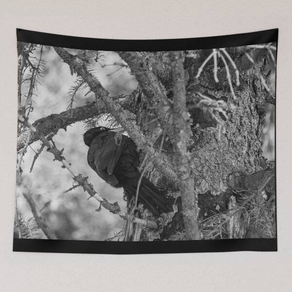 Item preview, Forester at work 4.  Black woodpecker bw designed and sold by Jouko Lehto Photography.