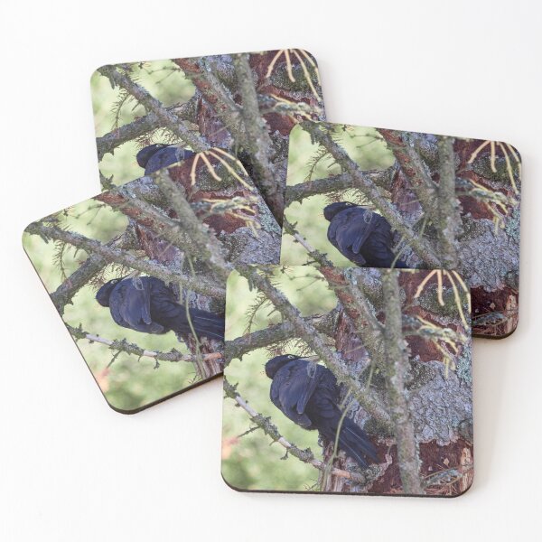Item preview, Forester at work 3.  Black woodpecker designed and sold by Jouko Lehto Photography.