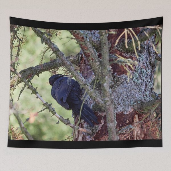 Item preview, Forester at work 3.  Black woodpecker designed and sold by Jouko Lehto Photography.