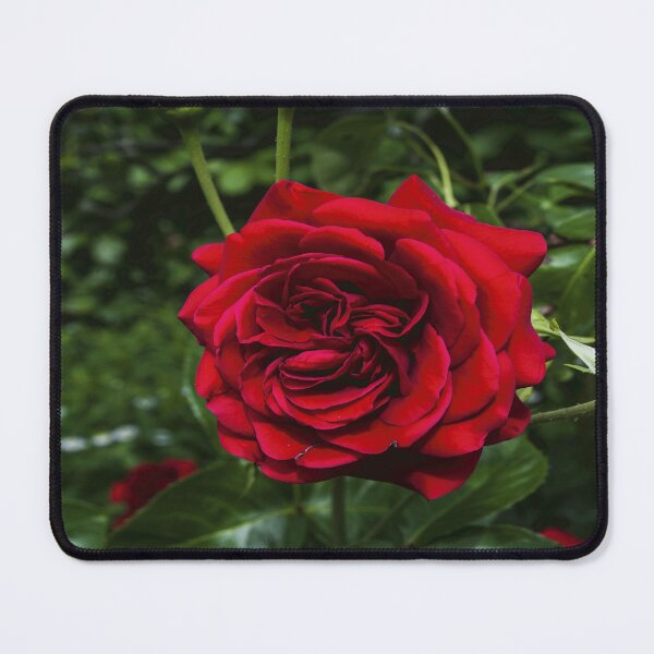 Item preview, Beautiful Botanica designed and sold by YARA TS.