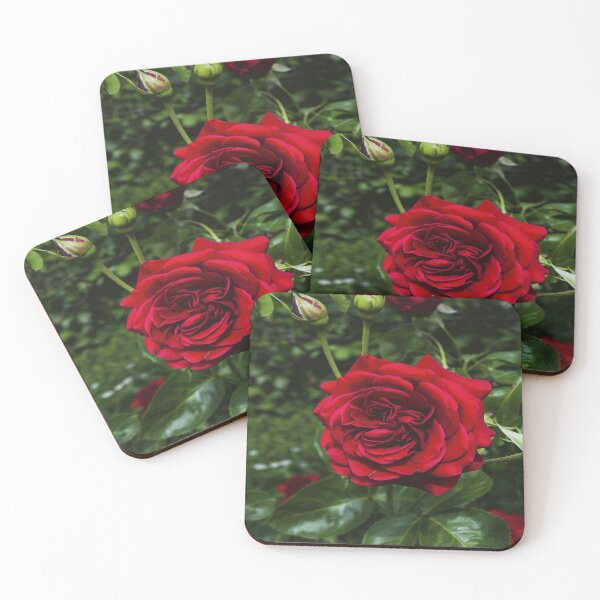 Item preview, Beautiful Botanica designed and sold by YARA TS.