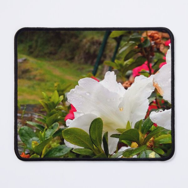 Item preview, Azalea flower in Foz d'Egua designed and sold by JesusStone.