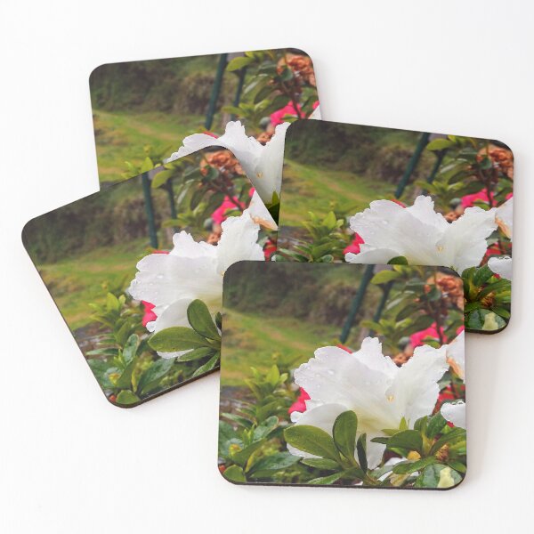 Item preview, Azalea flower in Foz d'Egua designed and sold by JesusStone.