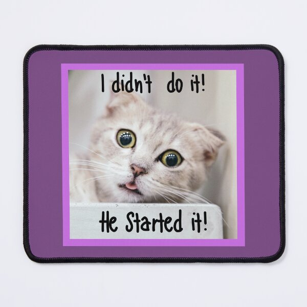 Item preview, I didn't do it. He started it! designed and sold by Viral-Me.