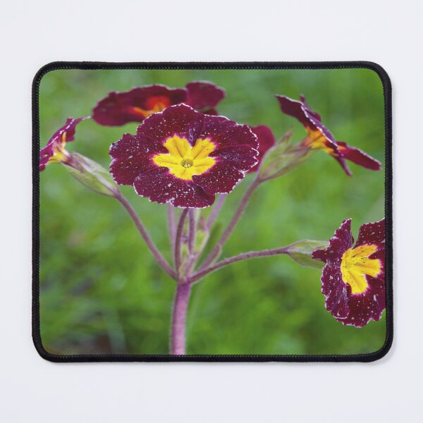 Item preview, Beautiful Botanica designed and sold by YARA TS.