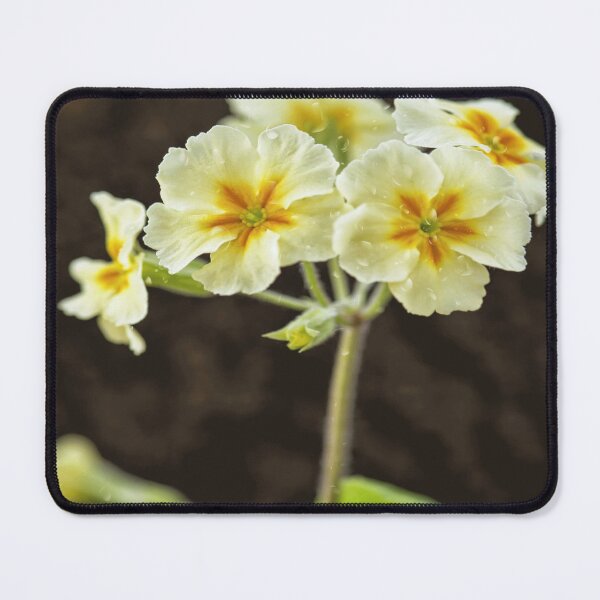 Item preview, Beautiful Botanica designed and sold by YARA TS.