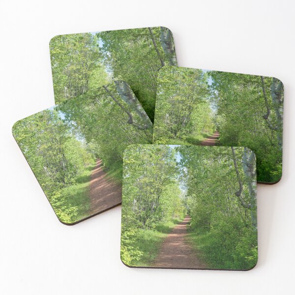 Item preview, Rotary Friendship Park Trail designed and sold by onepony.