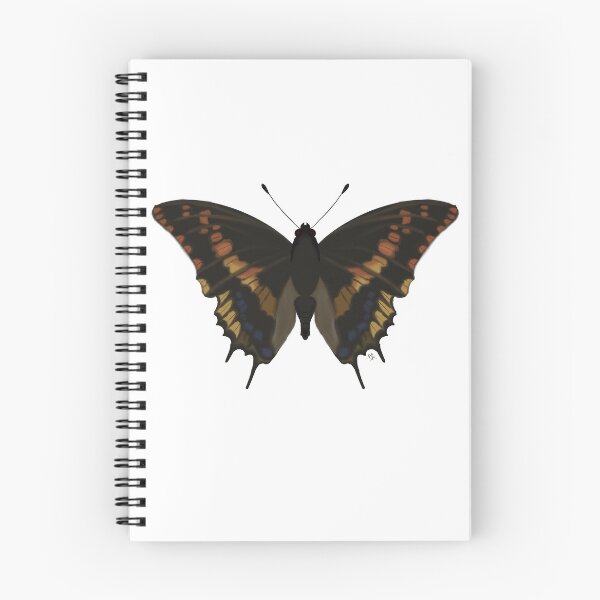 Item preview, Two-Tailed Pasha Butterfly designed and sold by TheBarefootMom.