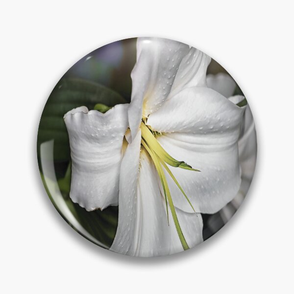Item preview, Beautiful Botanica designed and sold by YARA TS.