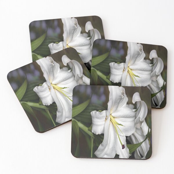 Item preview, Beautiful Botanica designed and sold by YARA TS.