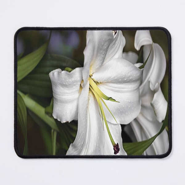 Item preview, Beautiful Botanica designed and sold by YARA TS.
