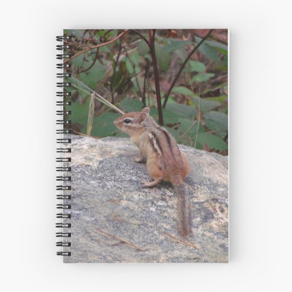 Item preview, Chipmunk Sitting designed and sold by Starrypoo.