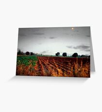 driveby Greeting Card