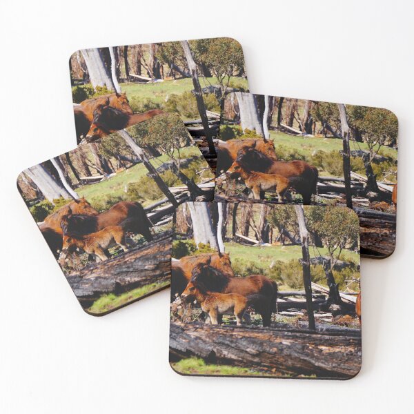 Item preview, After the Fires designed and sold by D-GaP.