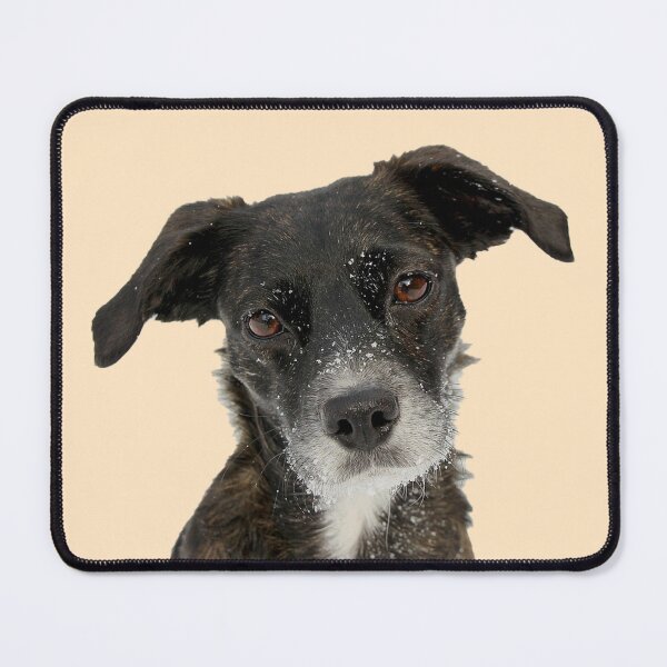 Item preview, Dog Hope designed and sold by TheBigShop1.
