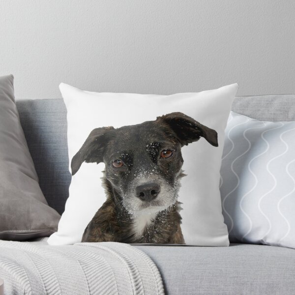 Item preview, Dog Hope designed and sold by TheBigShop1.