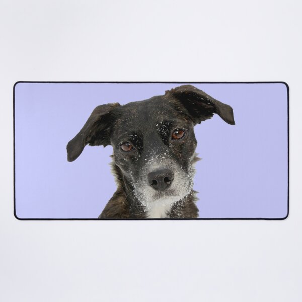 Item preview, Dog Hope designed and sold by TheBigShop1.