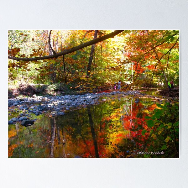 Item preview, In surround colour designed and sold by MarianBendeth.