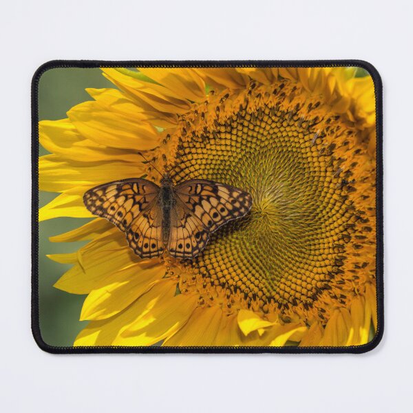 Item preview, Butterfly Whisper designed and sold by Susan Nixon.