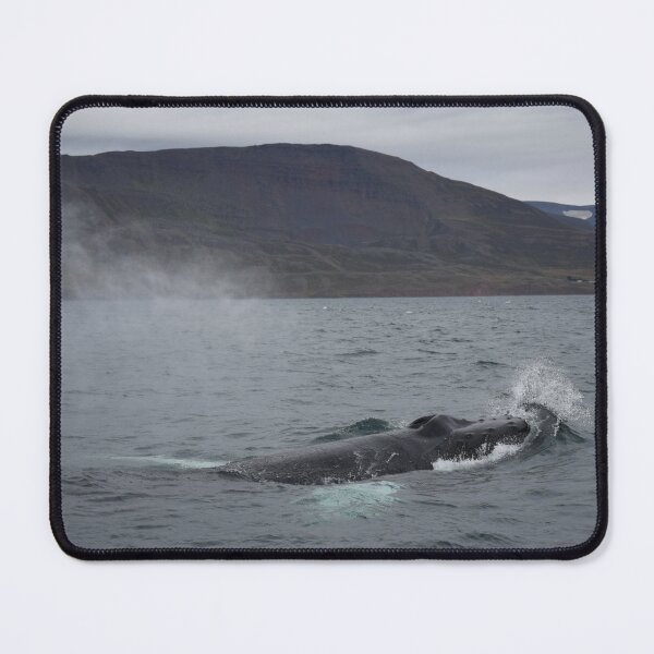 Item preview, Humpback whale in Eyjafjordur, Iceland designed and sold by elisainiceland.