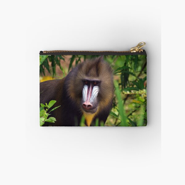 Item preview, Mandrill designed and sold by Philip Butler.