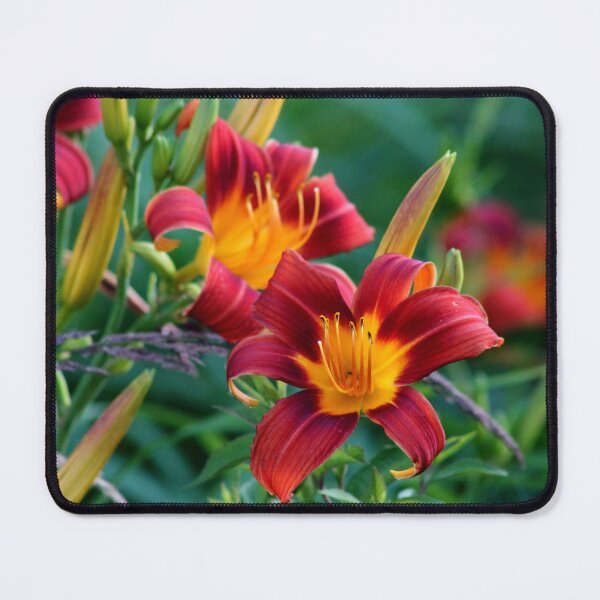 Item preview, Matrix Lily designed and sold by Cr8tive4life.