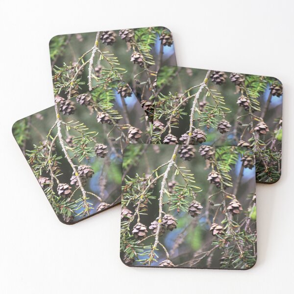 Item preview, Pine Cones designed and sold by Tracy Engle.