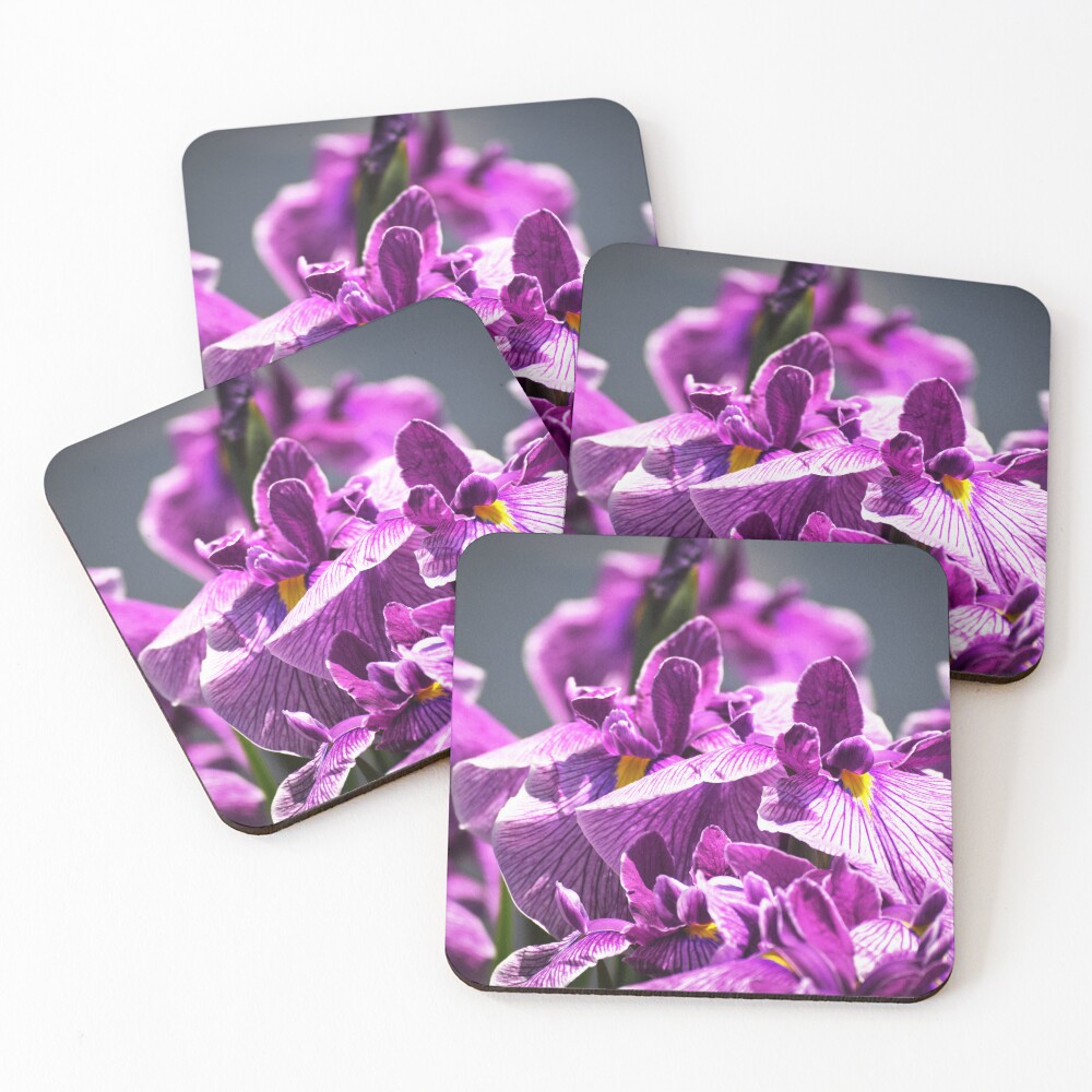 Item preview, Coasters (Set of 4) designed and sold by Tracy Engle.
