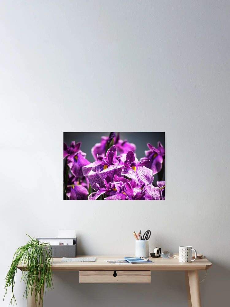 Thumbnail 2 of 3, Poster, Purple Irises designed and sold by Tracy Engle.
