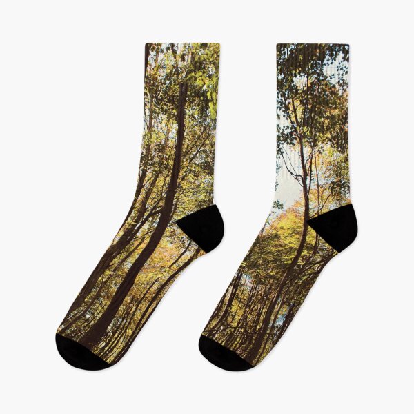 Item preview, Autumn Trees designed and sold by RoseyElisabeth.